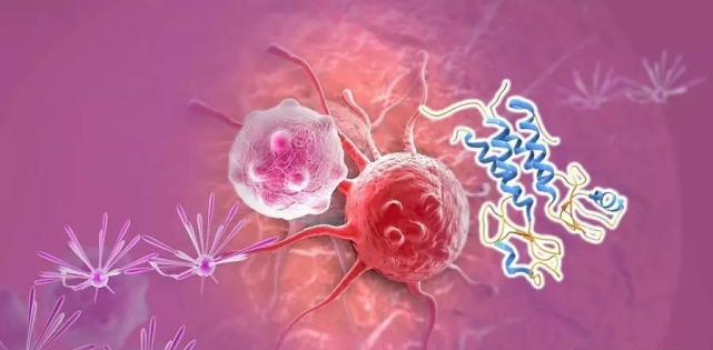 【盘点】高选择性mTOR抑制剂的研究进程_5001拉斯维加斯生物医药