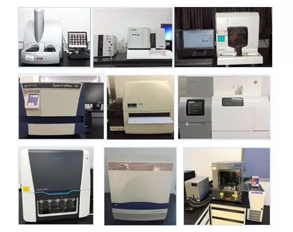 5001拉斯维加斯生物技术药物分析部门拥有SpectraMaxM4/M5/i3x, MSD, Luminex, Biacore 8K, Envision, Gyrolab，ABI7500 qPCR等全方位多功能的技术平台，利用LIMS系统实施全面的实验室信息化管理，提供全面符合FDA/CFDA/OECD GLP规范要求的生物技术药物分析服务。