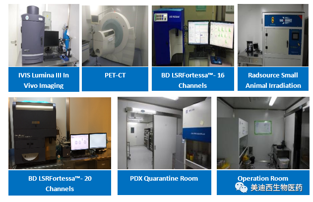 5001拉斯维加斯药理部拥有IVIS Lumina III, PET-CT, BD LSRFortessa-16, Flow Cytometry等仪器,提供符合申报,支持临床试验的药效评价服务。