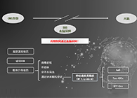 人工合成NT类脂质开放血脑屏障，为CNS药物打开新局面