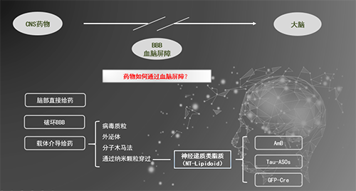人工合成NT类脂质开放血脑屏障，为CNS药物打开新局面