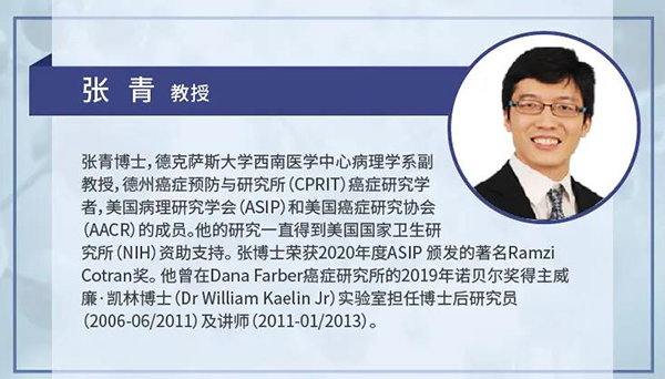 直播预告|诺奖实验室讲师张青教授做客5001拉斯维加斯云讲堂，揭示乳腺癌和肾癌治疗新靶点