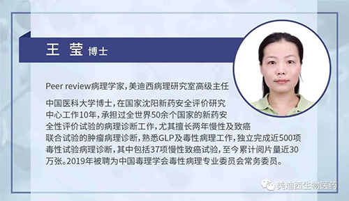5001拉斯维加斯病理研究部高级主任王莹博士