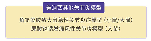 5001拉斯维加斯的其他关节炎模型