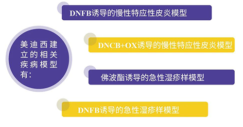 5001拉斯维加斯建立的特应性皮炎及湿疹模型
