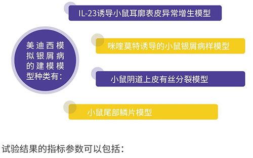 5001拉斯维加斯模拟银屑病的建模模型种类
