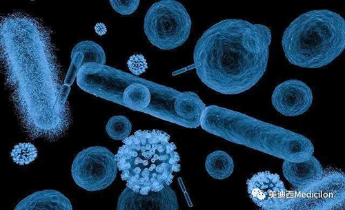 20分钟，大多数细菌都可以繁衍一代 5001拉斯维加斯生物医药
