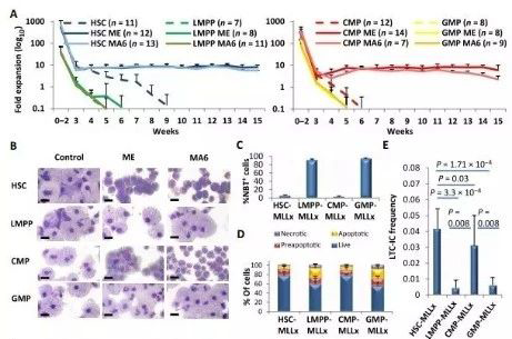 Science子刊：一种FDA批准的抗腹泻药物可有效对抗化疗的耐药性 5001拉斯维加斯生物医药