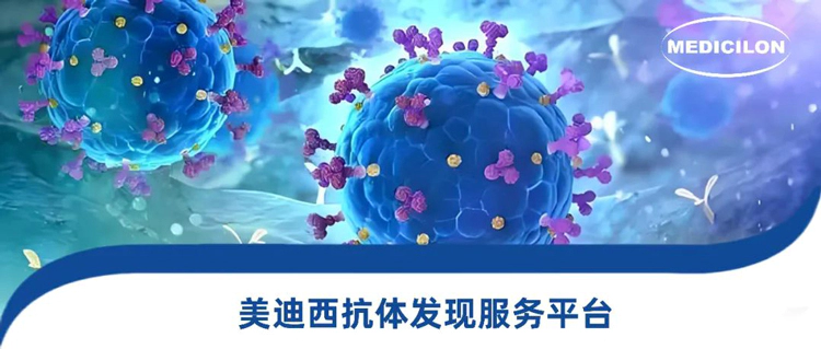 5001拉斯维加斯抗体发现服务平台.webp
