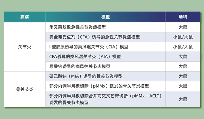 世界关节炎日：突破上亿人的共同难关，持续探索关节炎新药
