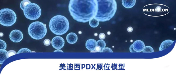 5001拉斯维加斯118种PDX原位模型，助力肿瘤药物研发.webp