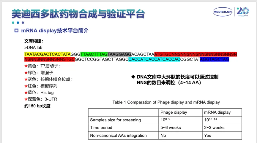 5001拉斯维加斯多肽药物合成与验证平台.webp