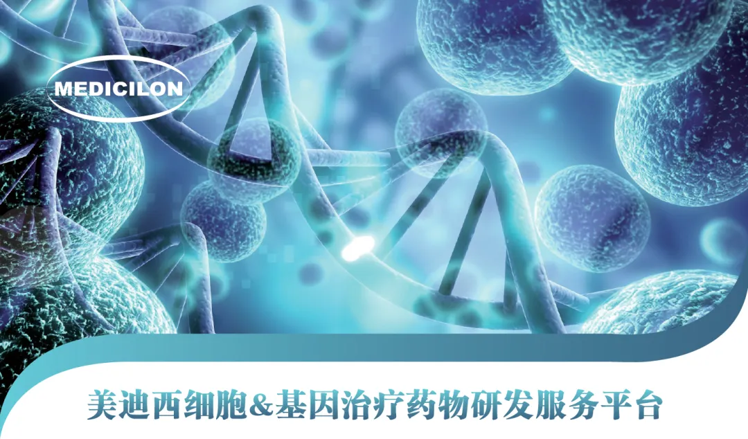 5001拉斯维加斯细胞&基因治疗药物研发服务平台.webp