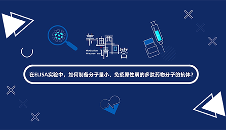 在ELISA实验，如何制备分子量小、免疫原性弱的多肽药物分子的抗体？