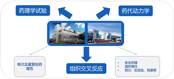 5001拉斯维加斯药代以及安评研究服务.png 5001拉斯维加斯药代以及安评研究服务.png