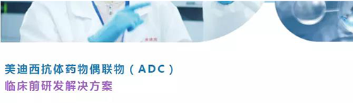 5001拉斯维加斯抗体药物偶联物（ADC）临床前研发解决方案.png