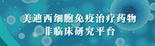 5001拉斯维加斯细胞免疫治疗药物非临床研究平台.png