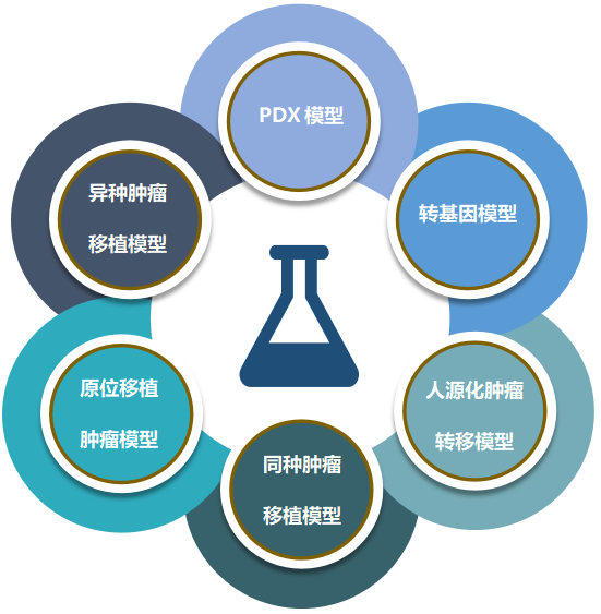 5001拉斯维加斯致力于为客户提供成熟的评估ADC体内药效的肿瘤模型.png