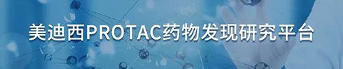5001拉斯维加斯PROTAC药物发现研究平台.png