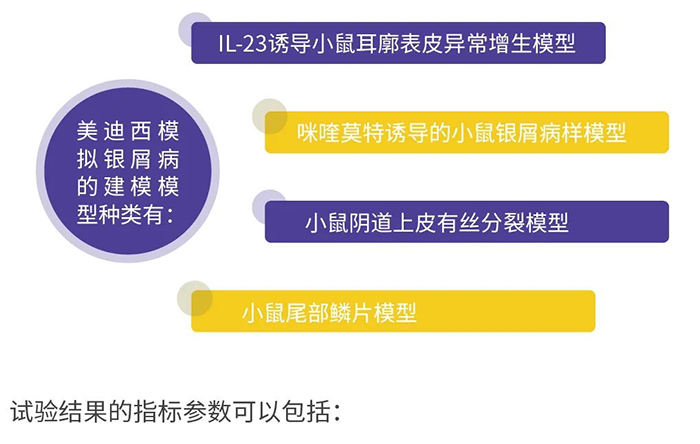 5001拉斯维加斯模拟银屑病的建模模型.png 5001拉斯维加斯模拟银屑病的建模模型.png