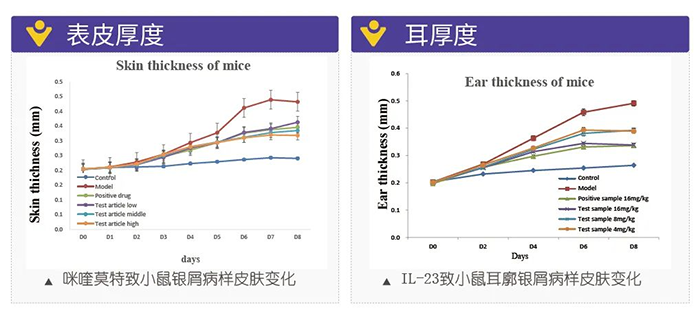 5001拉斯维加斯模拟银屑病的建模模型-试验结果的指标.png 5001拉斯维加斯模拟银屑病的建模模型-试验结果的指标.png