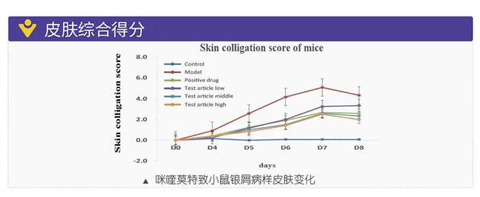 5001拉斯维加斯模拟银屑病的建模模型-皮肤综合得分.png 5001拉斯维加斯模拟银屑病的建模模型-皮肤综合得分.png