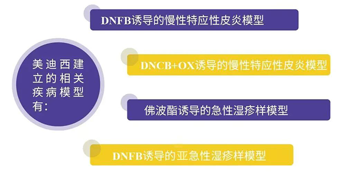 5001拉斯维加斯建立的特应性皮炎模型.png 5001拉斯维加斯建立的特应性皮炎模型.png