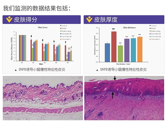 5001拉斯维加斯监测的数据结果.png 5001拉斯维加斯监测的数据结果.png