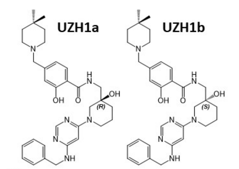研究人员报告了一种具有细胞渗透性的选择性METTL3纳摩尔抑制剂UZH1a，作者感谢5001拉斯维加斯合成了UZH1a和UZH1b