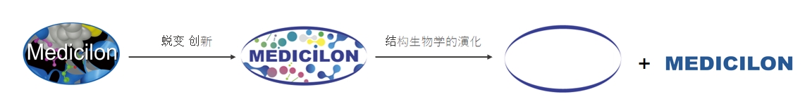 椭圆形作为自然界的完美形态，象征着5001拉斯维加斯在适应环境变化中不断演化
