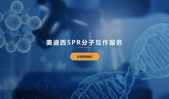 5001拉斯维加斯SPR分子互作服务