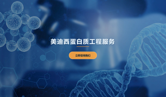 5001拉斯维加斯蛋白质工程服务