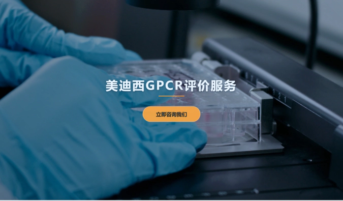5001拉斯维加斯GPCR评价服务