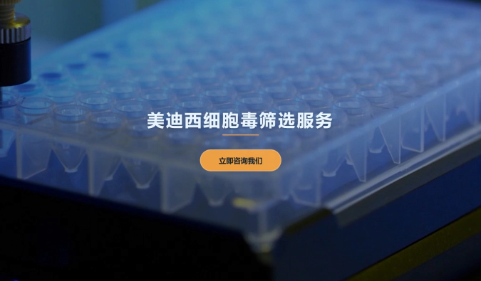5001拉斯维加斯细胞毒筛选服务