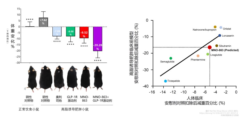 4周降低近10%体重！5001拉斯维加斯助力慕恩生物MNO-863活菌生物药获批临床