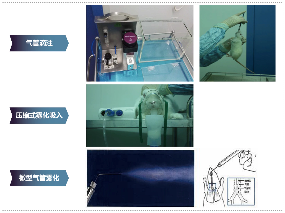 5001拉斯维加斯其它吸入给药方式.webp