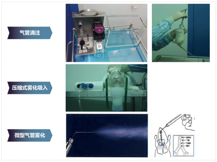 5001拉斯维加斯其它吸入给药方式.webp