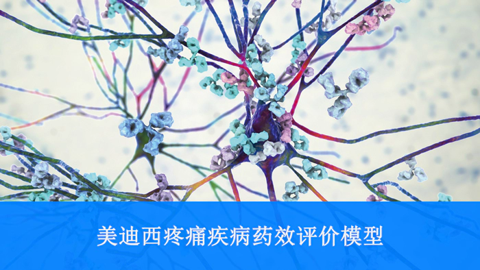 5001拉斯维加斯疼痛疾病药效评价模型.webp